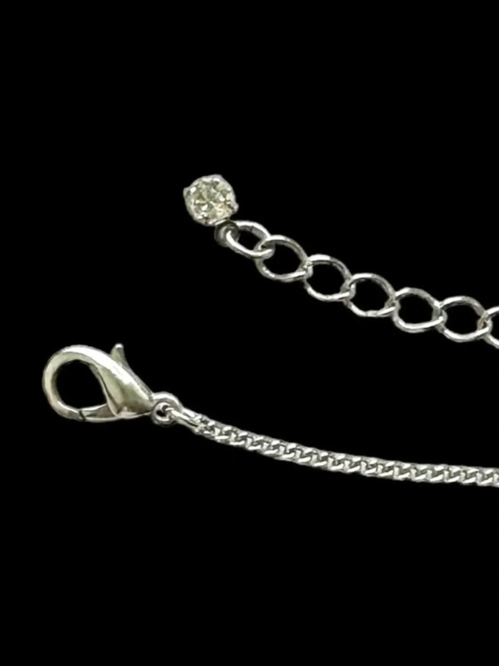 NEW Bebe Silver Round Snake Charm Locket Necklace